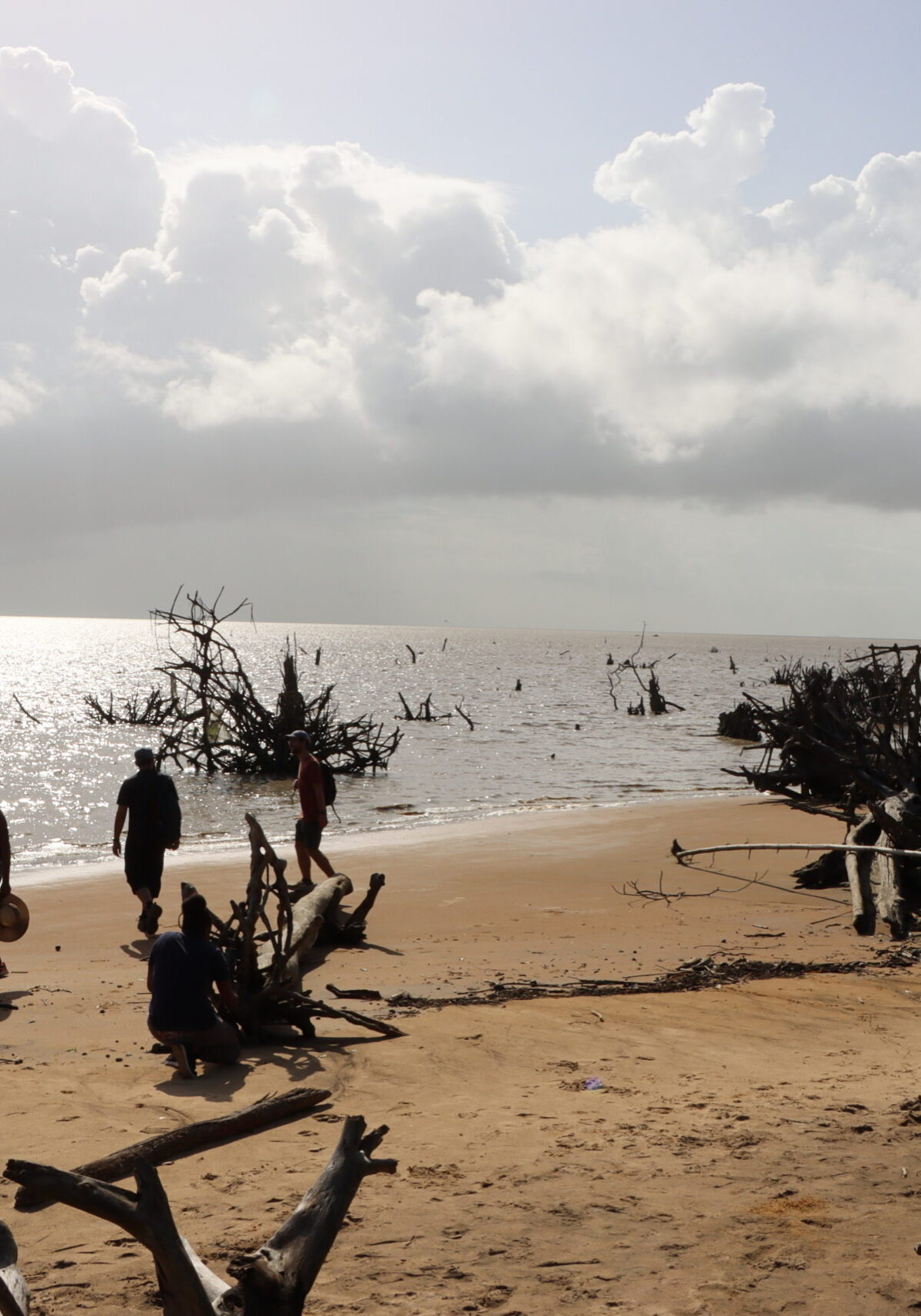 Promenade sur le sentier du Littoral